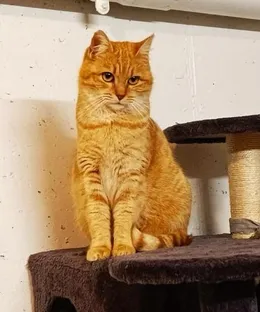 Bounty, adopté