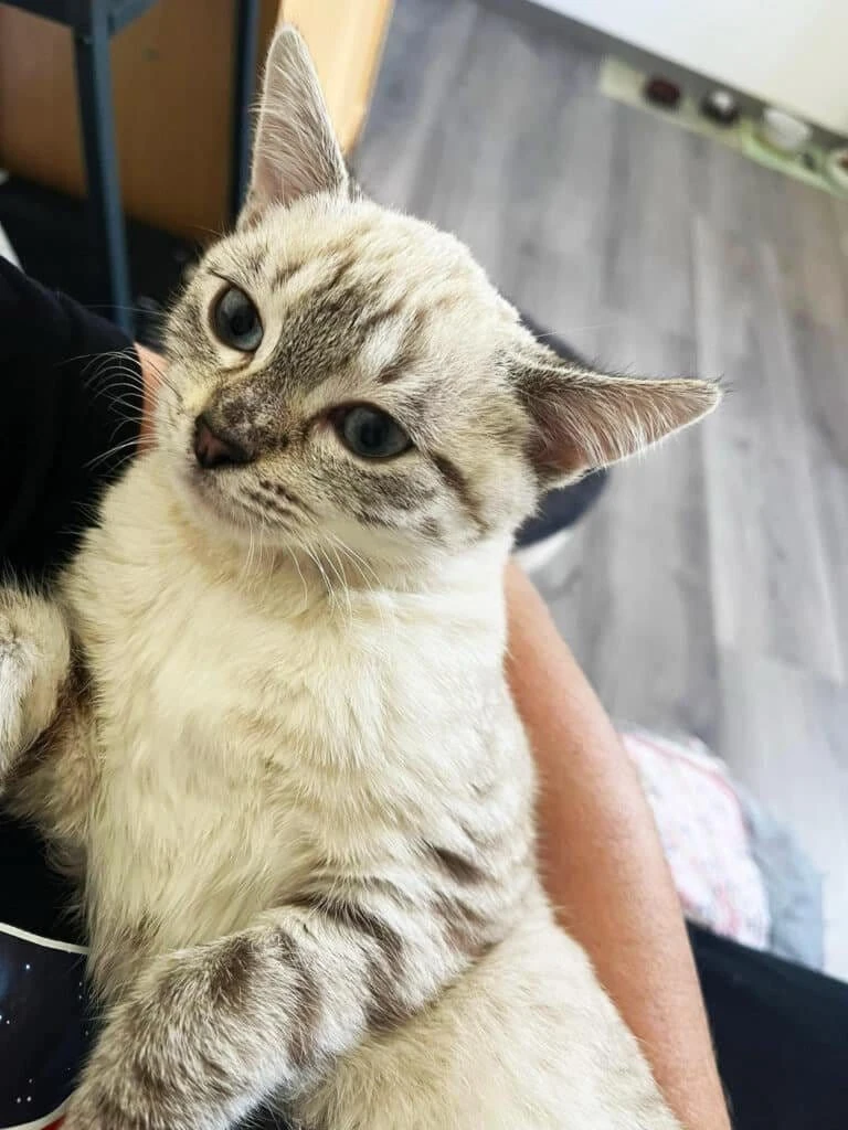 Kate