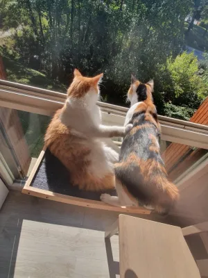 Luis et Mia de dos, l’un contre l’autre devant la fenêtre