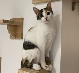 Sabrina 7